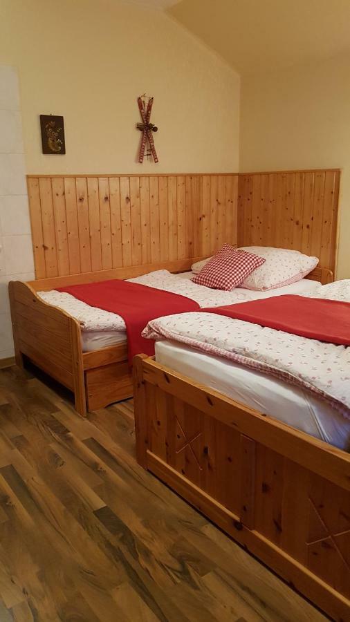 Haus Gabriele Appartement Bad Mitterndorf Buitenkant foto
